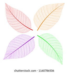 multicolored leaves in the contour. Vector Illustration