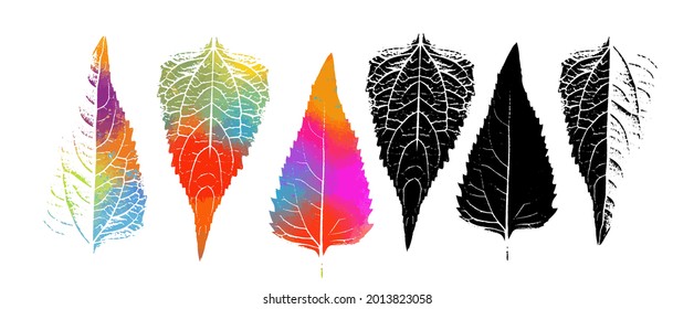 Multi-colored leaves of the tree. Rainbow world. Mixed media. Vector illustration