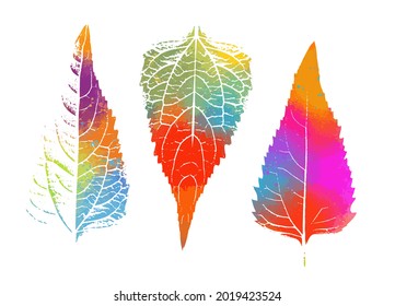 Multi-colored leaves of the tree. Rainbow world. Mixed media. Vector illustration