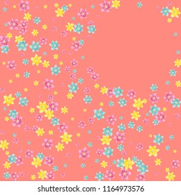 Multicolored lilies on a pink background.