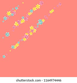 Multicolored lilies on a pink background.