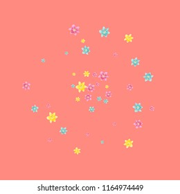 Multicolored lilies on a pink background.