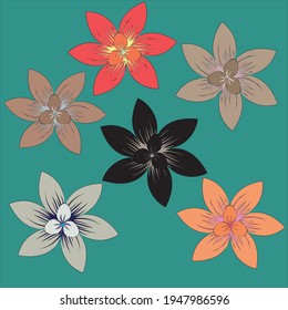 Multicolored Lily Flowers for Designers