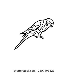 Multicolored lorikeet bird black line icon. Pictogram for web page, mobile app, promo.