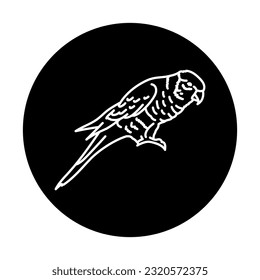 Icono de la línea negra del pájaro lorikeet multicolor. Pictograma para página web, aplicación móvil, promoción.