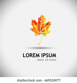 Multicolored maple leaf. Vector