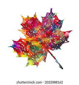 Multi-colored maple leaf. vector illustration