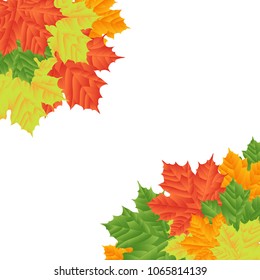 Multicolored maple leaveson a white background. Isolated . Autumn background. Nature background.Vector illustration. Eps 10.