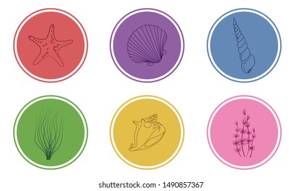 multicolored marine theme icons, summer elements