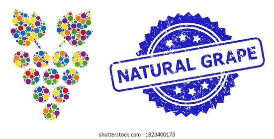 Multicolored mosaic grape, and Natural Grape unclean rosette stamp seal. Blue seal includes Natural Grape title inside rosette. Vector spheric spots are grouped into abstract mosaic grape icon.