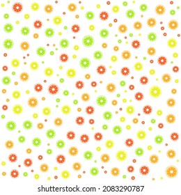 Multicolored Orange fruit vector background