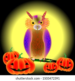 Multi-colored owl and orange pumpkins on a background of the moon. Halloween.