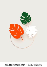 Multi-colored palm leaves. tropical abstract background with bright colors and composition. 