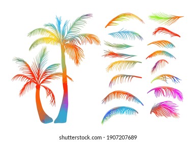 multicolored Palm trees. Palm leaves. Vector illustration