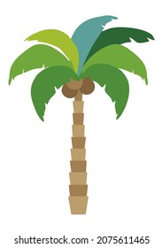 multicolored palmer, colorful tropical palm trees