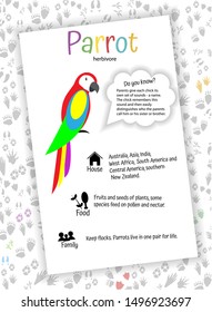 Multi-colored parrot on white background. Educational card for children, kindergarten, home schooling. Learning English, Zoology