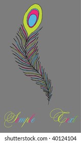  multicolored peacock feather