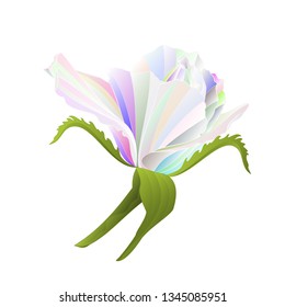 Multicolored  rosebud  on a white background vintage vector botanical illustration editable hand draw