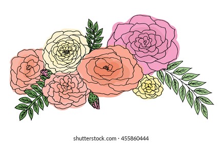 Multicolored roses on white background. illustration. Free hand drawn.