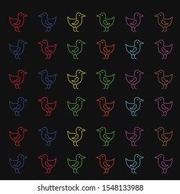 Multicolored - Seagull black background