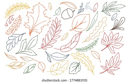 multicolored set of doodles - autumn leaves, herbarium, leaf fall on a white background in doodle style