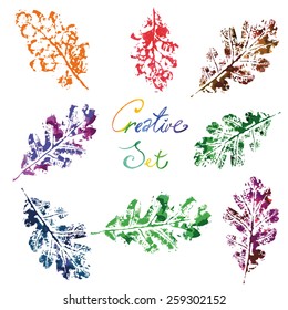 Multicolored set of oak leaves painted in watercolor technique in print. All the elements are isolated