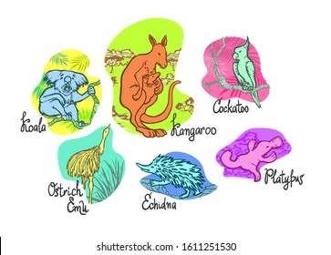 A multicolored set of unique Australian fauna, Koala, Kangaroo, Kakadu, Ostrich Emu, Echidna and the Platypus on a white background, isolated linear graphics, for banners, cards, posters and sites.