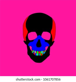 Multicolored skull bright. Vector Skull