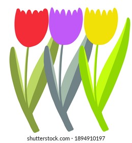 Multicolored spring tulips on white background. Vector Illustration. Realistic , for cards, posters, postcard design, logo, for printed matter.