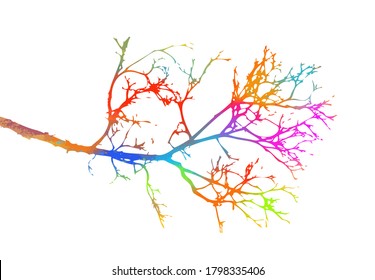 A multi-colored tree branch. Vector illustration