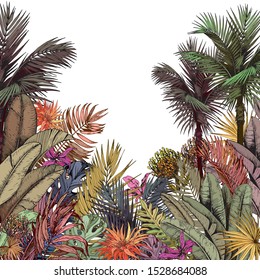 Follaje tropical multicolor y flores exóticas. Ilustración vectorial dibujada a mano aislada en fondo blanco.