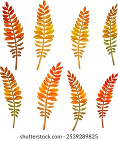 Multicolored tropical leaves. Vector tropical exotic leaves, realistic jungle leaves set. Palm leaf collection. Eps 10.