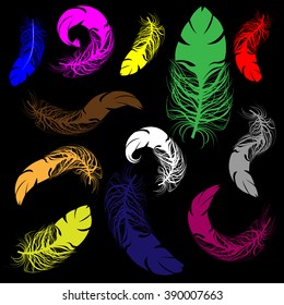 Multicolored vector graphic illustration of elegant bird flight feathers with asymmetrical orientation of shafts different colors sizes and length on black background