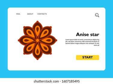 Multicolored vector icon of anise star flower