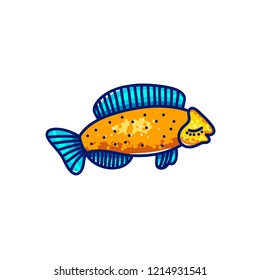 Multicolored vector marine beautiful cartoon fish swimming on white background