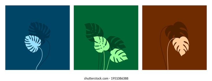 mehrfarbiger Vektorsatz von Monstera deliciosa Blätter