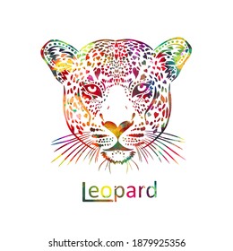 Multicolored vector sketch of a leopard's face. Graphic image. Vector illustration