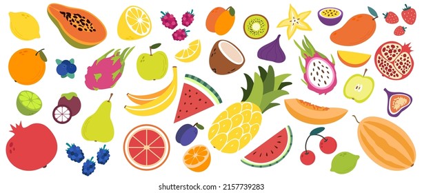 Multi-colored,flat,vector illustration on a transparent background. A set of various exotic fruits and berries. Collection of organic vitamins and healthy food.Watermelon, pineapple.Horizontal banner