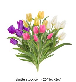 Multicolour bouquet of tulips realistic 3d vector illustration. Yellow, white, pink, purple tulips with leaves isolated on white. Women day 8 march spring symbol. Bouquet fresh shiny tulips 