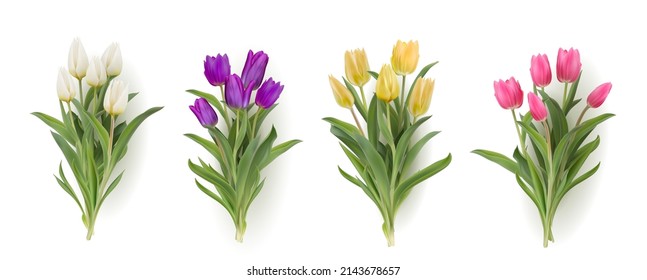 Multicolour bouquet tulips realistic 3d vector illustration big set  Yellow  white  pink  purple tulips and leaves isolated white  Women day 8 march spring symbol  Bouquet fresh shiny tulips 