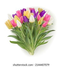 Multicolour bouquet of tulips realistic 3d vector illustration. Yellow, white, pink, purple tulips with leaves isolated on white. Women day 8 march spring symbol. Bouquet fresh shiny tulips 