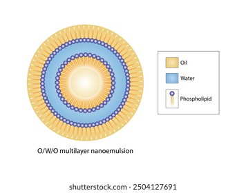 Multilayer nanoemulsion, a mixture of two immiscible liquids. Water and oil, Immiscible liquids, continuous phase, Dispersed phase. Emulsification, emulsifier. Vector illustration.