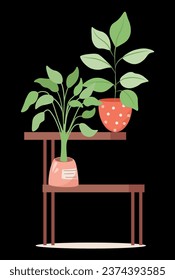 multi-level shelf with indoor plants