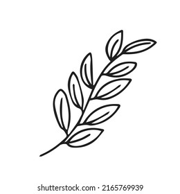 Multimedia doodles element design. popular abstract line doodles