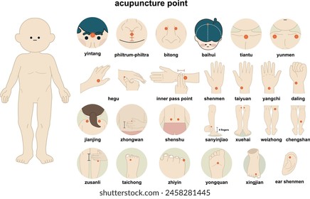 multiple acupuncture point and model - flat illustration  