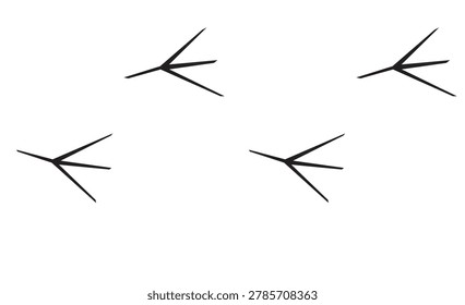 Multiple bird footprints on transparent background, avian tracks, nature, wild animal trail, small creature steps, outdoor walk, natural environment.