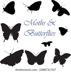 Multiple Butterfly and Moth Silhouettes