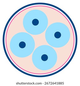 Multiple Cells Division Stage Vector – Biology and Embryology Diagram