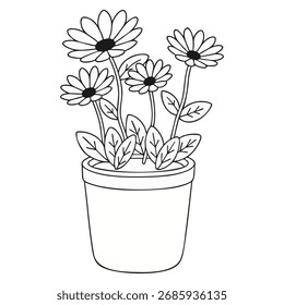 Multiple Daisy Flowers in Terracotta Pot Outline Vector Illustration on White Background