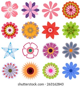 Multiple  flowers - various colors 4